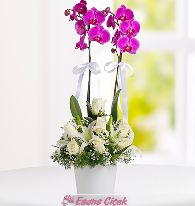 Serik Çiçekçi Dört Mevsim Orkide Lilyum ve Gül Aranjmanı