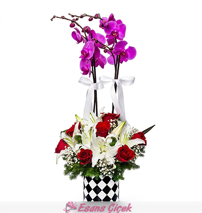  Serik Çiçek Siparişi Damalı Vazoda 2 Dal Mor Orkide Çiçeği