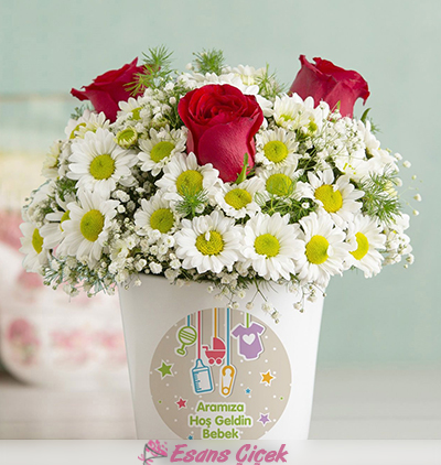  Kadriye çiçek gönder Hoş Geldin Bebek Vazolu Papatya ve Güller