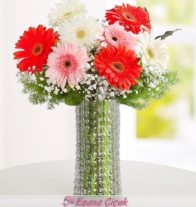  Kadriye çiçek gönder Düş Prensesi Gerbera Aranjmanı