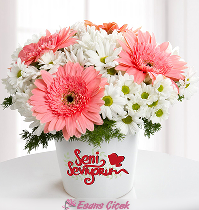  Kadriye çiçek gönder Seni Seviyorum Mesajlı Gerbera ve Papatya Aranjmanı