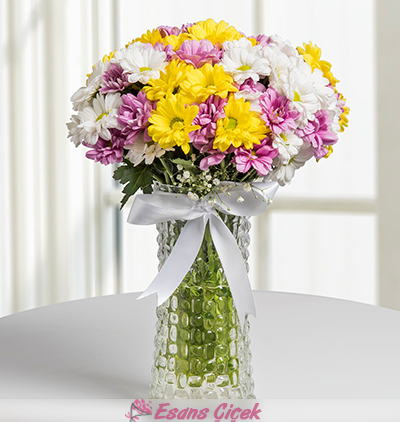  Serik Çiçek Siparişi Renkli Papatyalar Çiçek Aranjmanı