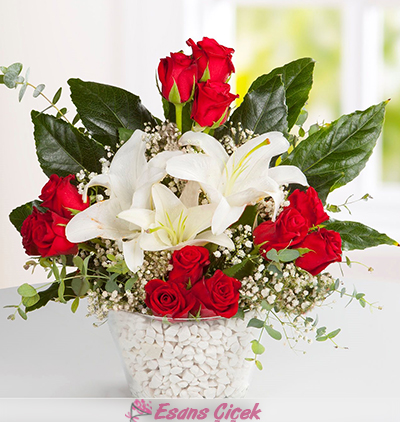 Belek çiçek Estetik Güzel Beyaz Lilyum ve Kırmızı Gül Aranjmanı