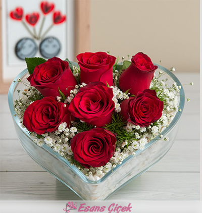 Serik Çiçekçi Biricik Sevgilime 7 Kırmızı Gül
