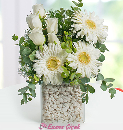 Belek otele çiçek gönder. Beyaz Gölge Gerbera ve Gül Aranjmanı