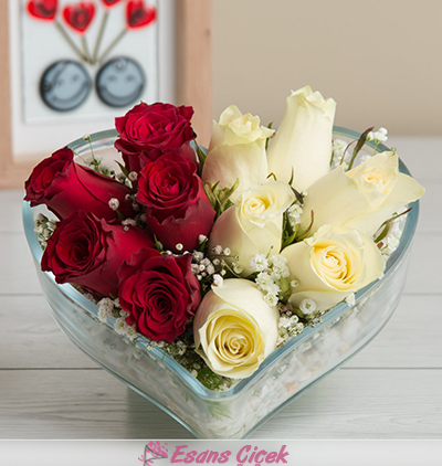 Serik Çiçekçi Aşık ve Zarif Kırmızı-Beyaz Güller