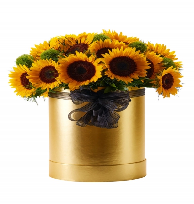 Serik Çiçekçi Sarı ayçiçekleri 