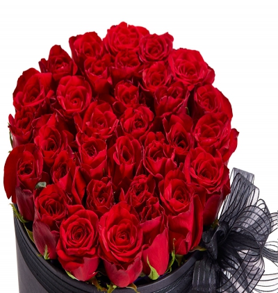  Serik Çiçek Siparişi Siyah kutuda kırmızı güller