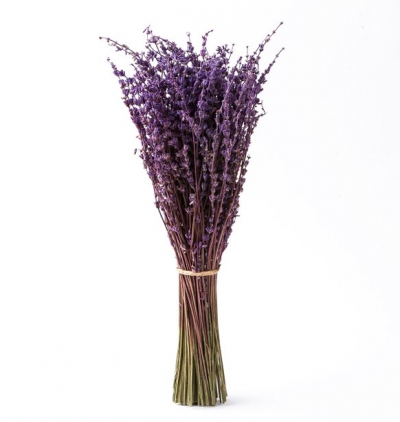 Serik Çiçek Siparişi kokulu doğal lavanta