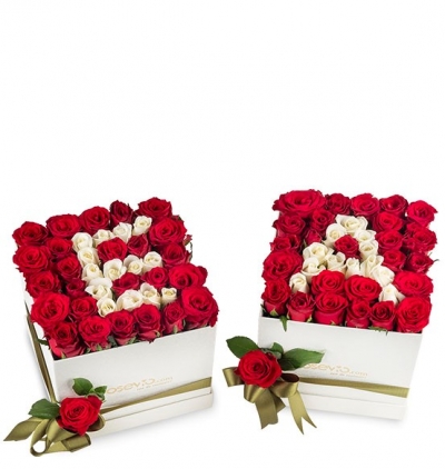 Serik Çiçekçi İkiz Kutuda GÜLLER