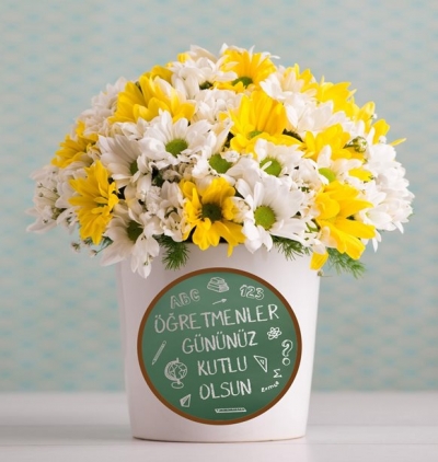 Serik Çiçekçi karışık renkte papatya