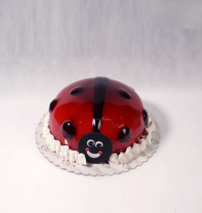 Serik Çiçekçi uğur böceği yaş pasta